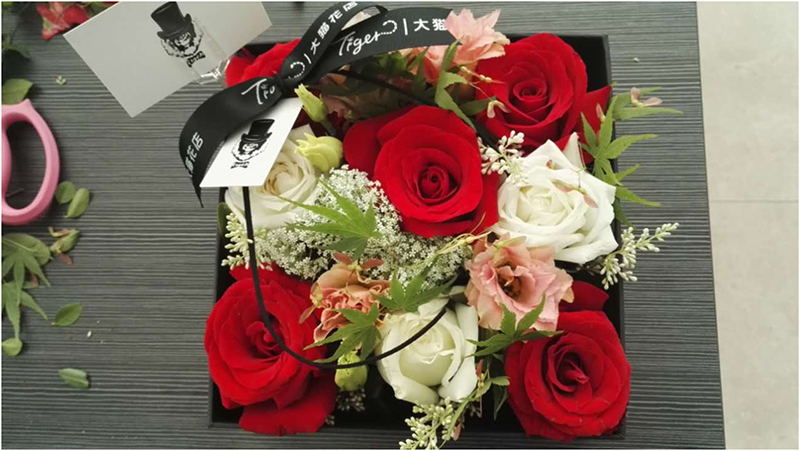 1518582839579494.jpg 04.jpg